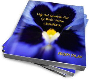 werkboek volg het spirituele pad op blote voeten e-book peggy dylan